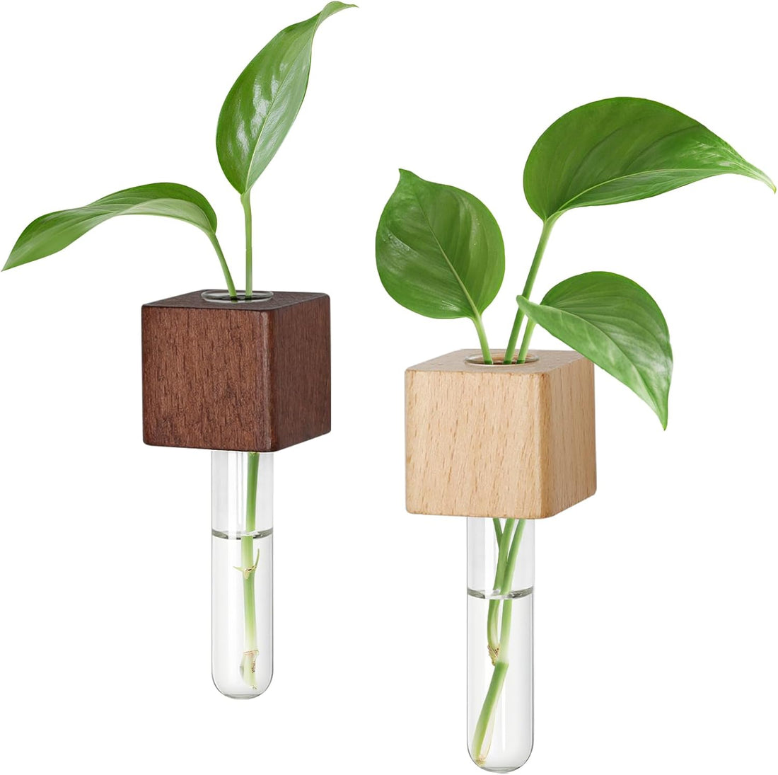 Magnetic Test Tube Flower Vases – Wooden Fridge Planters with Glass Tubes