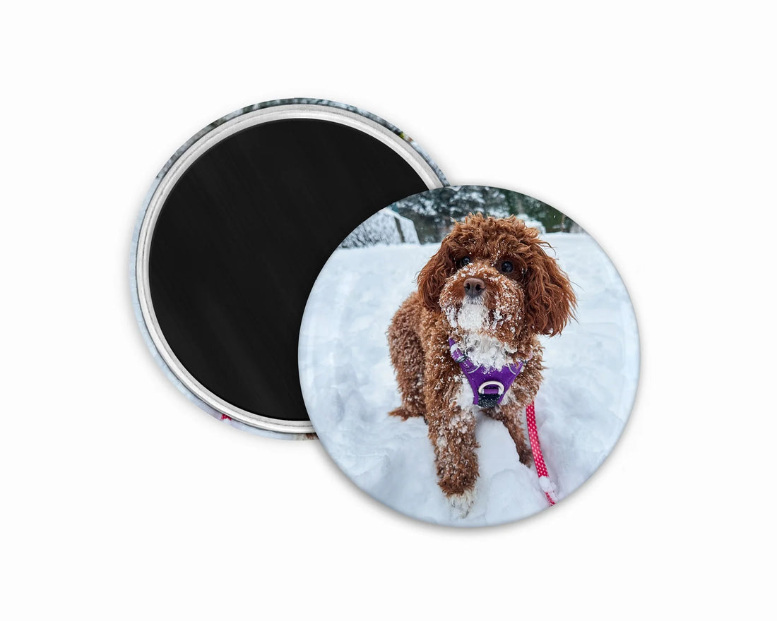 Create your own magnets